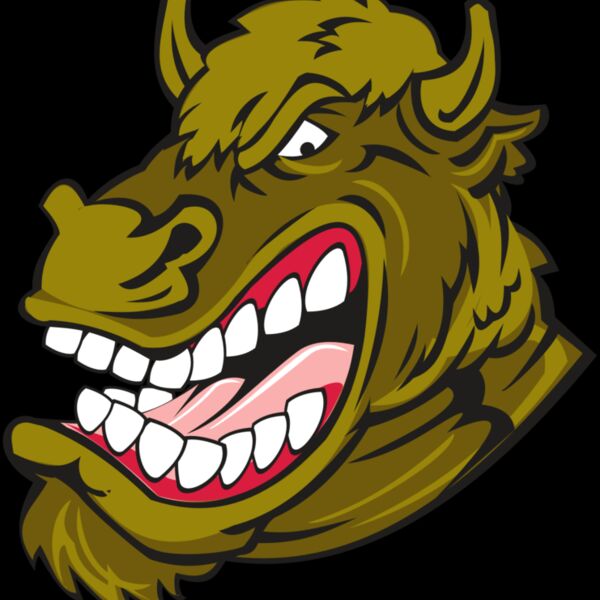 BUFFALO HD0501 RQC Thumbnail