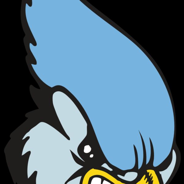 BAW BLUEJAY 05 RC Thumbnail