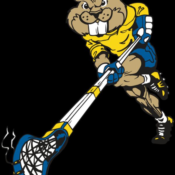 AR8 BEAVER 02 RQC Thumbnail