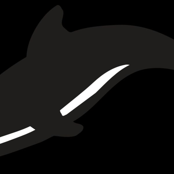 AR DOLPIN 16 RC Thumbnail