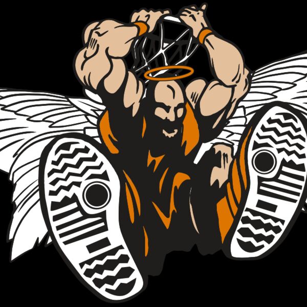 AR17 ANGEL BSKT 07 RQC Thumbnail