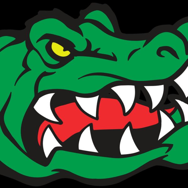 AR GATOR 19 RQC Thumbnail