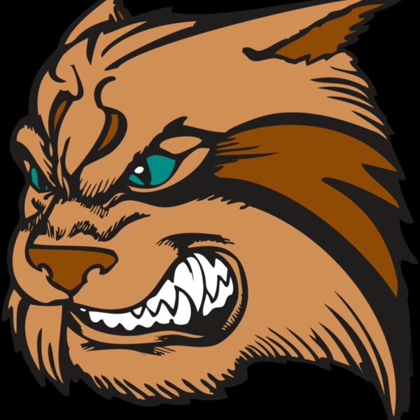 BAW WILDCAT 05 RC Thumbnail