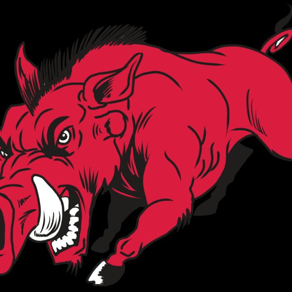 AR22 RAZORBACK 01 RQC Thumbnail