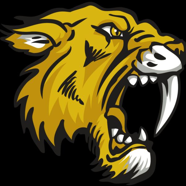 AR30 SABER 03 RQC Thumbnail